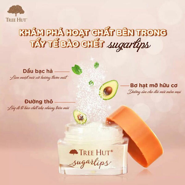 TẨY TẾ BÀO CHẾT MÔI TREE HUT SUGARLIPS LIP SCRUB SWEET MINT 9.8G